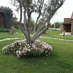 Beautiful Sani *