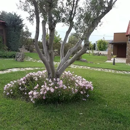 Beautiful Sani *