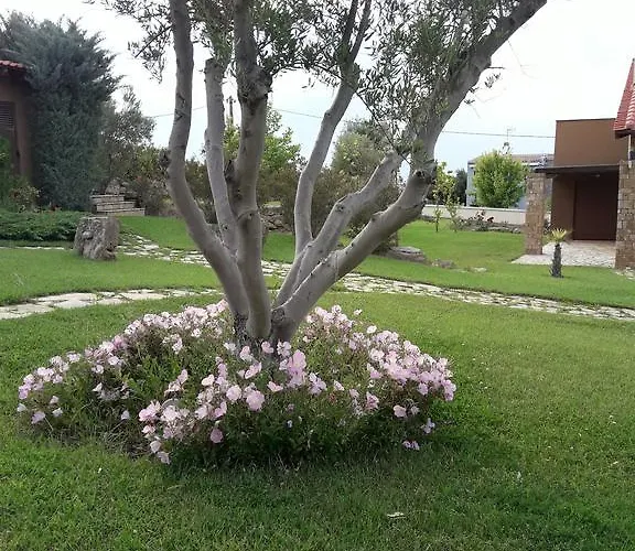 Beautiful Sani *